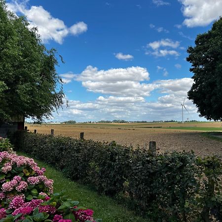 A La Ferme De Thilloy Bed and Breakfast Ligny-Thilloy Eksteriør billede