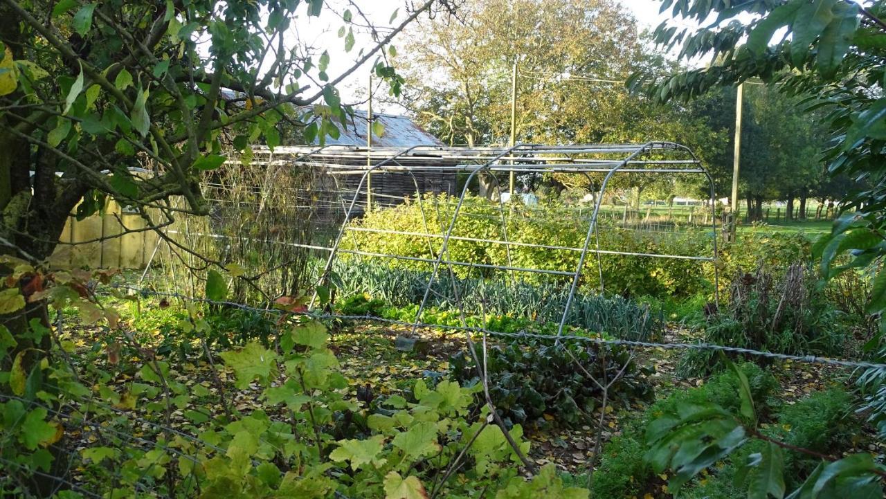 A La Ferme De Thilloy Bed and Breakfast Ligny-Thilloy Eksteriør billede