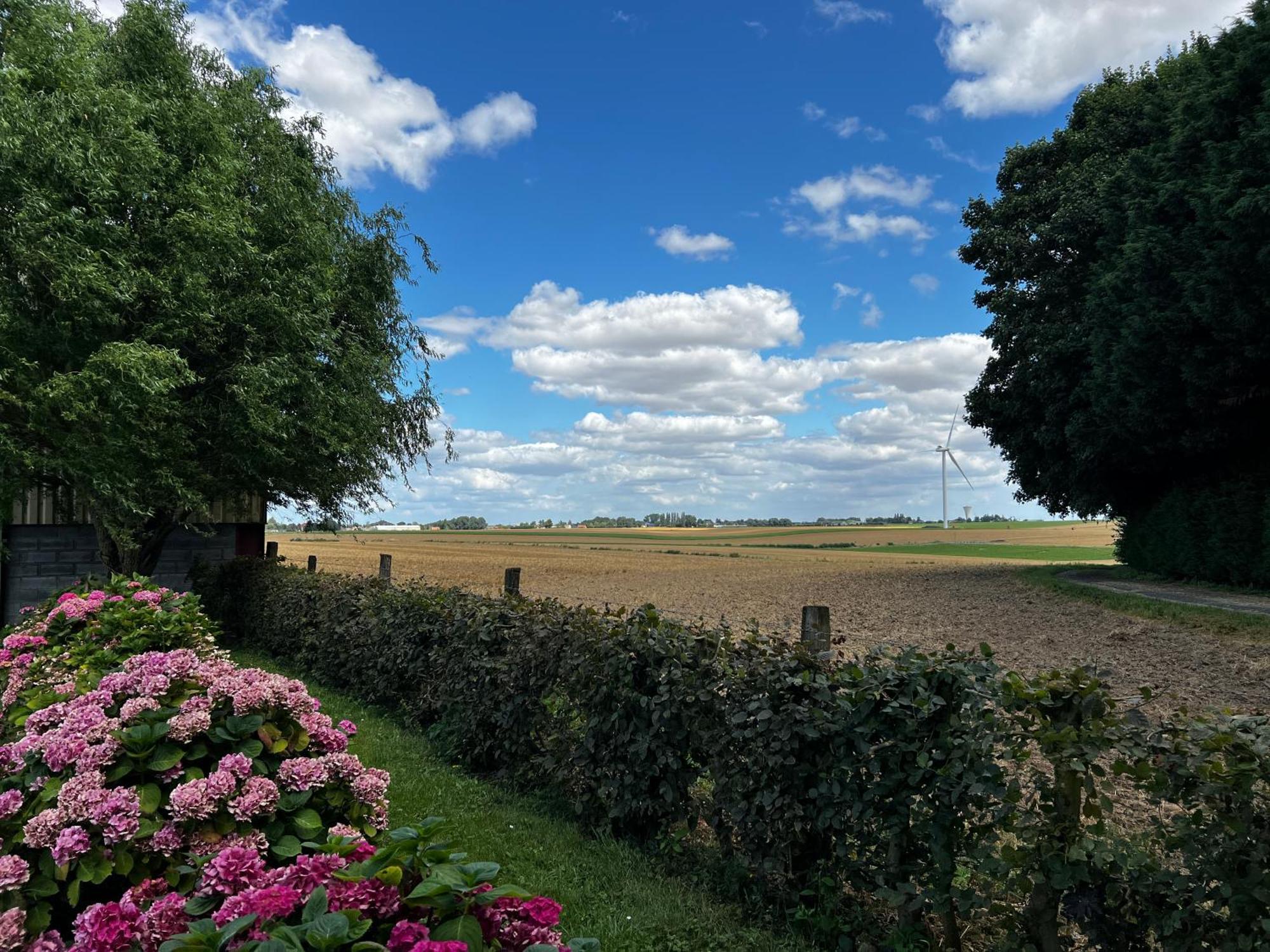 A La Ferme De Thilloy Bed and Breakfast Ligny-Thilloy Eksteriør billede